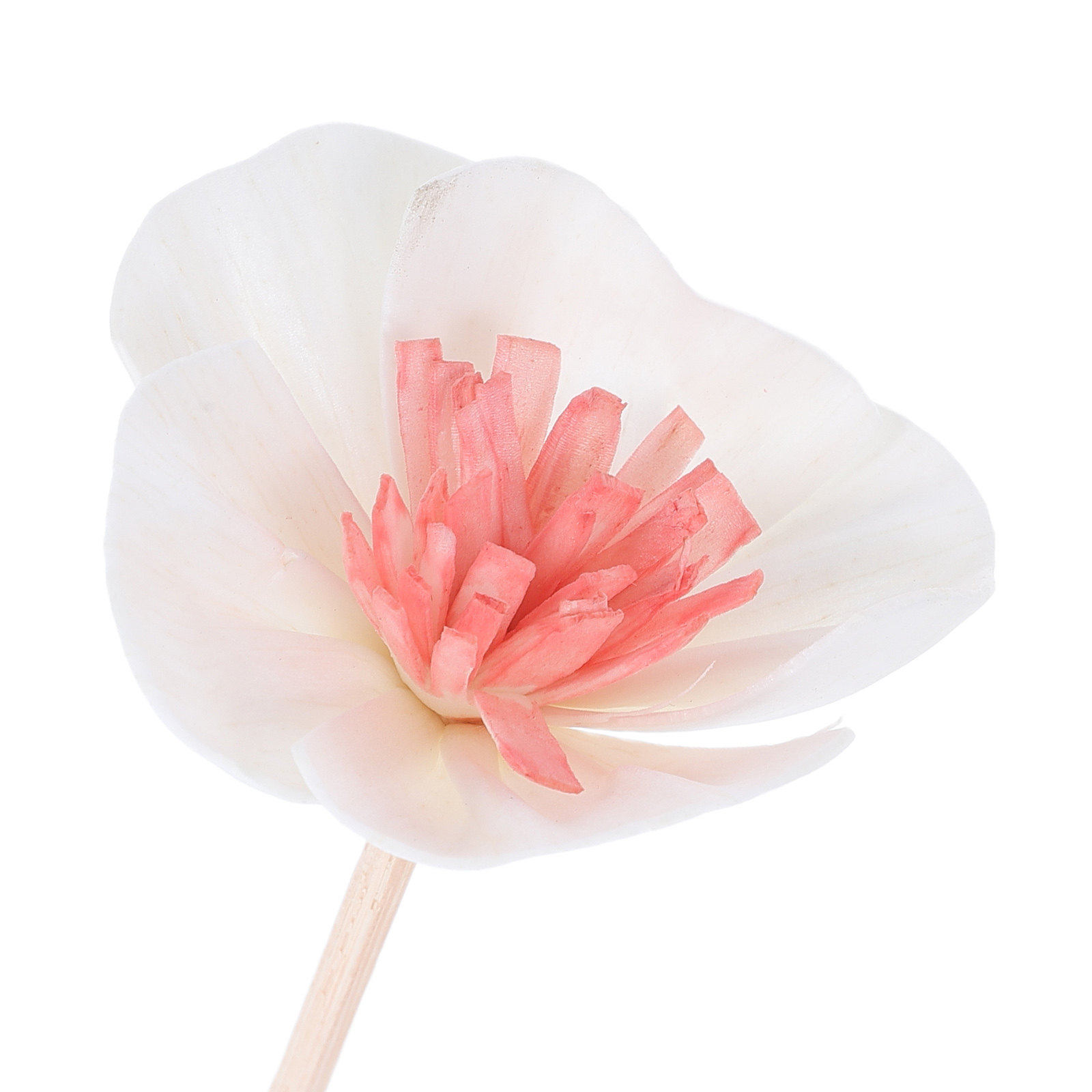 10개입 에센셜 오일 디퓨저 스틱 블랙 다공성 섬유 지 - Home Fragrance Diffusers 리뷰 및 가격