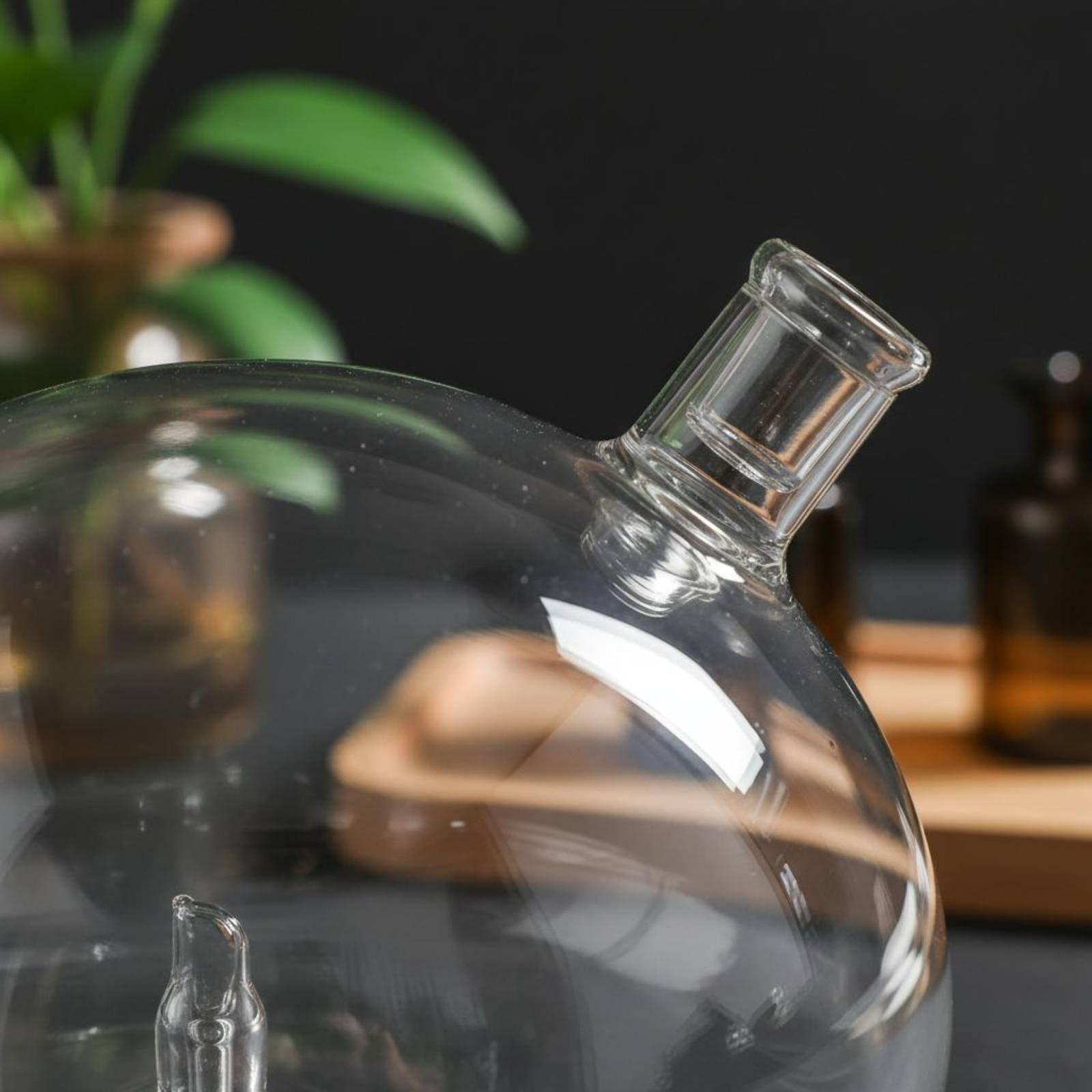 디퓨저 병 물이 없는 향수 디퓨저용 유니버설 핏 유리  - Home Fragrance Diffusers 리뷰 및 가격